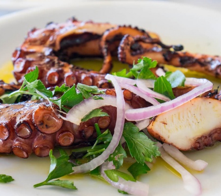 Pulpo