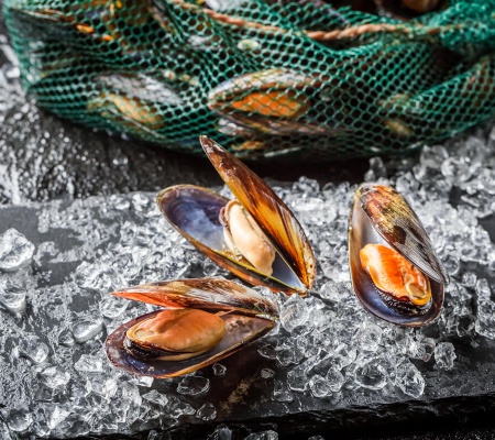 Mejillones